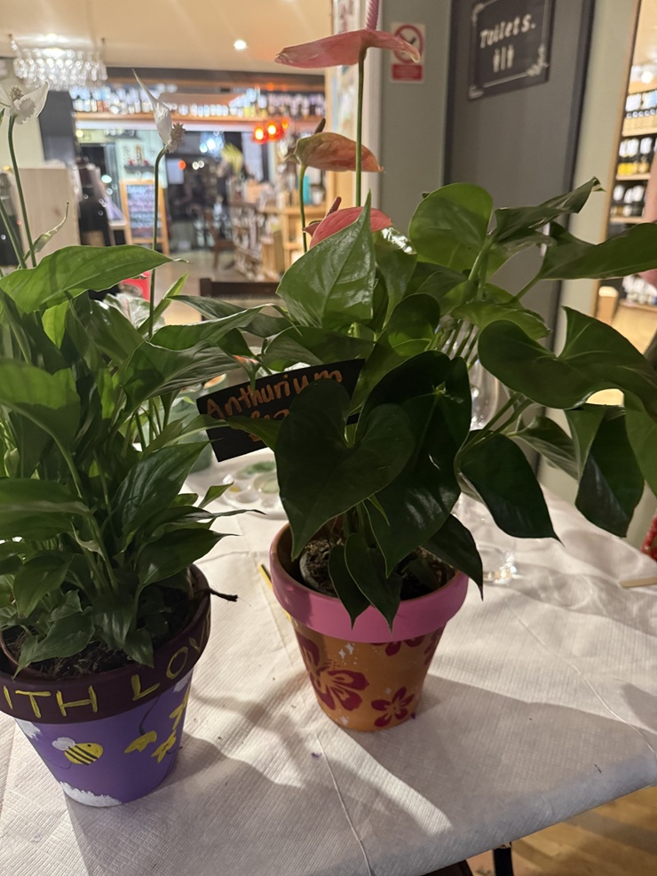 pot in plant