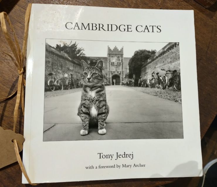 A book, 'Cambridge Cats', written by Tony Jedrej.
